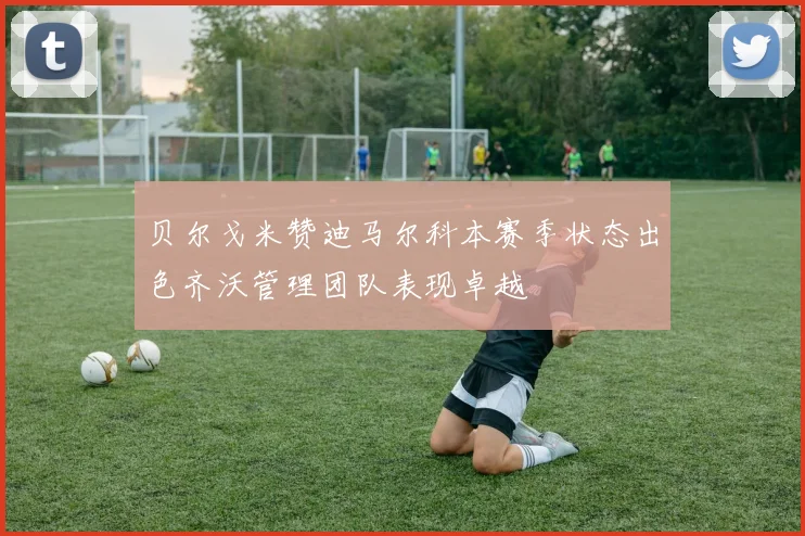 贝尔戈米赞迪马尔科本赛季状态出色齐沃管理团队表现卓越
